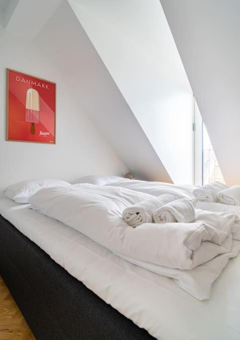 Central Penthouse With Panoramic Private Terrace Apartment Copenhagen