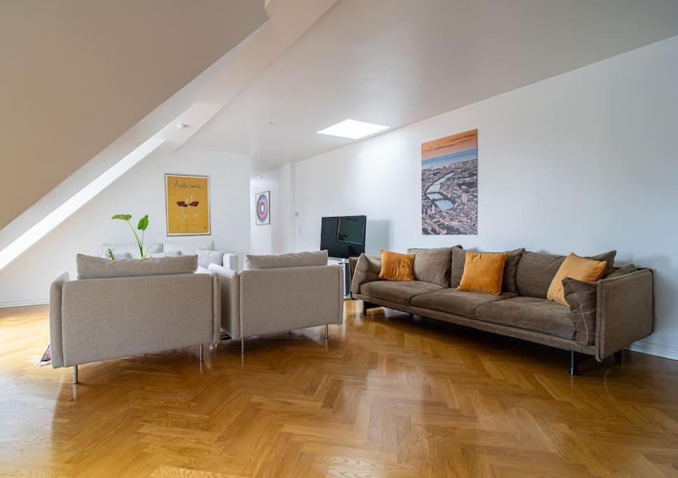Central Penthouse With Panoramic Private Terrace Apartment Copenhagen